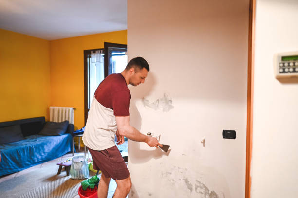 Best Commercial Mold Removal  in Montclair, VA